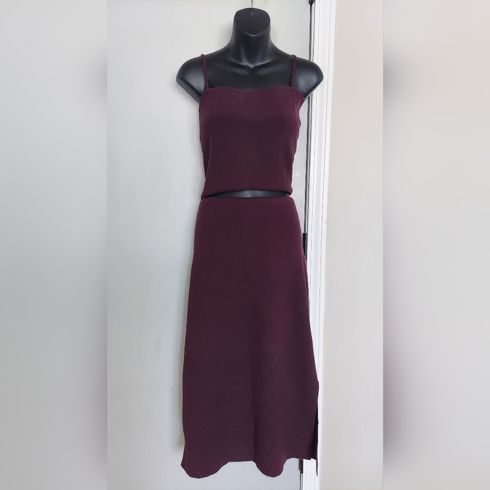 Express Deep Purple Pencil Skirt and Crop Cami Set